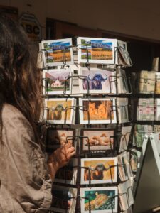 A morning wander, a gallery stop, a coffee somewhere new. Stellies has a way of filling the day without trying too hard.
Head out and explore. Weβll keep your room waiting.
ππΊοΈ
